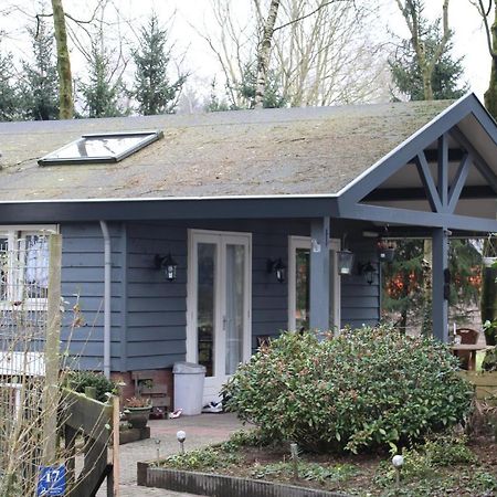 Heerlijk Huis In Een Prachtige Bosrijke Omgeving. Putten Luaran gambar
